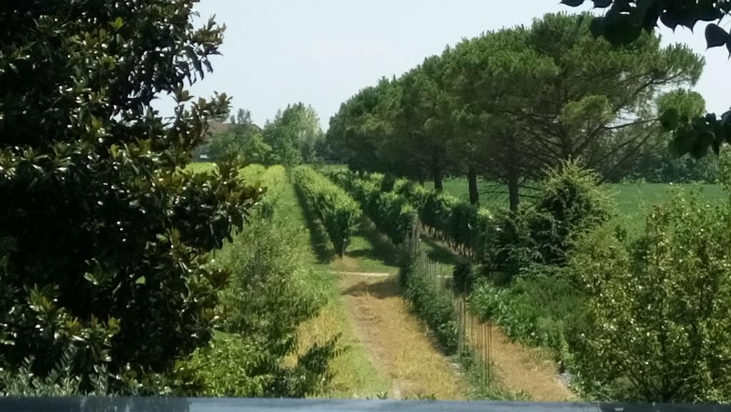 סאצ'ילה La Pioppa Agriturismo מראה חיצוני תמונה