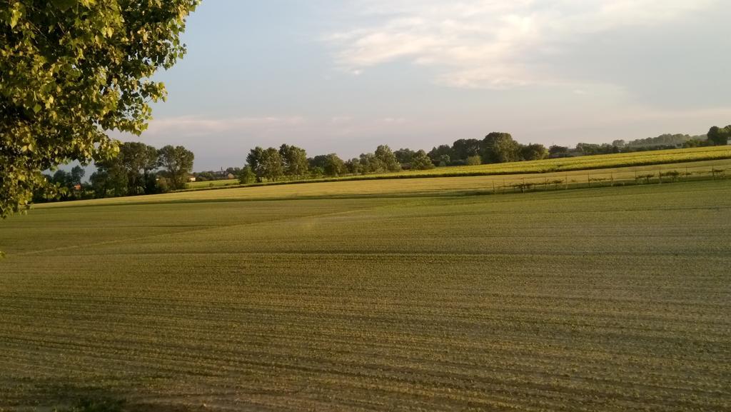 סאצ'ילה La Pioppa Agriturismo מראה חיצוני תמונה